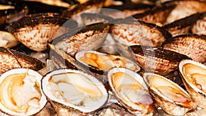 The Amande de Mer, French mussels photo