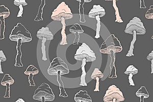 Amanita choky inedible mushrooms seamless pattern vector illustration.