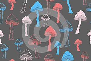 Amanita choky inedible mushrooms seamless pattern vector illustration. photo