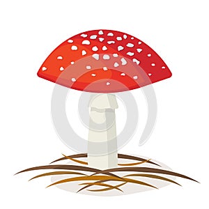 Amanita is an inedible poisonous mushroom