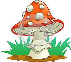 Amanita isolated mushroom with red and white spots. Vector fly-agaric.