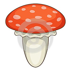 Amanita muscaria mushroom icon, cartoon style