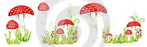 Amanita muscaria watercolor set, Fly agaric mushroom with grass. White spotted toxic red mushrooms. Hand drawn