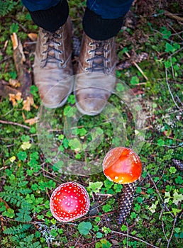Amanita Muscaria and woman legs in leather boots