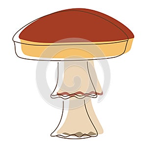 Amanita mushroom lineart. Edible Organic mushrooms. Truffle brown cap. Forest wild mushrooms types