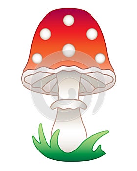 Amanita mushroom - vector full color picture. Cartoon bright red mushroom with white dots. Poisonous, beautiful mushroom