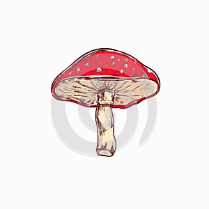 Amanita. Mushroom. Vector hand drawn