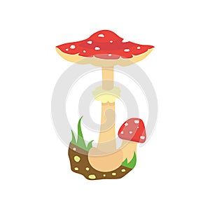 Amanita poisonous mushroom, isolated vector on white background