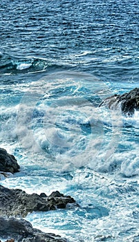 Amante del mar photo