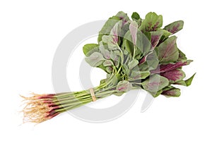 Amaranth