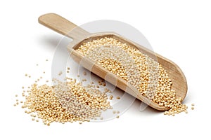 Amaranth grains with wooden spoon photo