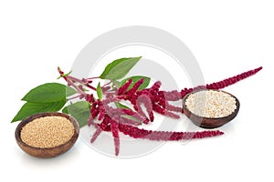 Amaranthus Plant Dried Seed and Puffed Grain