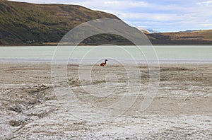 The Amarga lagoon, Patagonia, Chile