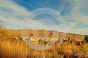 The Amargosa Valley, Mojave Desert, Nevada.