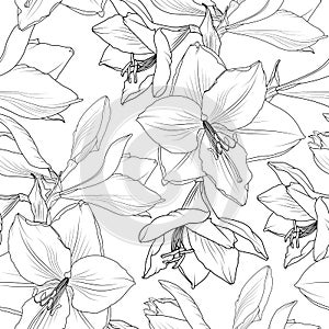 Amaryllis hippeastrum lily floral seamless pattern