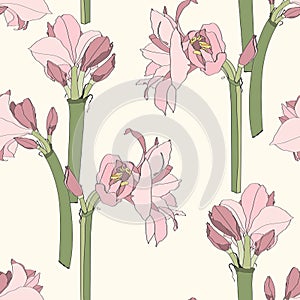 Amaryllis Hipperastrum lilly blooming flowers seamless pattern.