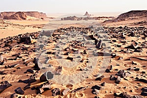 Amasing and great landscape. Remains of a petrfied wood. Sahara photo