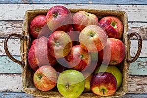Amasya apples in basket top view