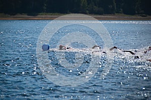 Amateur competition in freestyle front crawl swimming style in the lake