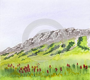 Amateur watercolor drawing of mountains and blooming fields against a blue sky