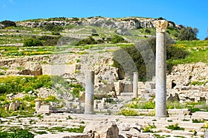 Amathus ruins