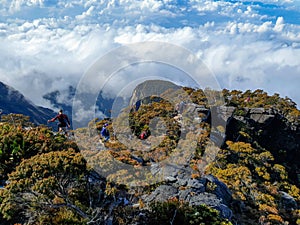 Amaze by the nature of Mount Kinabalu
