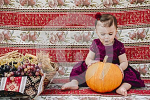 Amazed baby girl sitting and touching big pumpkin
