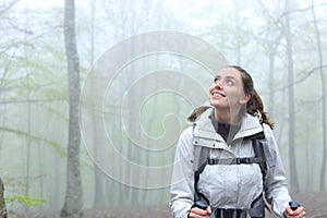 Amazed trekker walking looking above in a forest