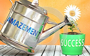 Amazement helps achieving success - pictured as word Amazement on a watering can to symbolize that Amazement makes success grow