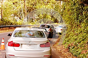 Amazing adventure road to hana in maui