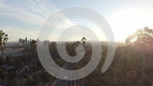 Amazing aerial drone clip of Los Angeles and sunlight behind park trees