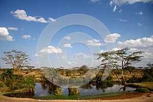 Amazing Africa savanna view photo