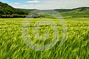 Amazing agriculture landscape in Macin mountains