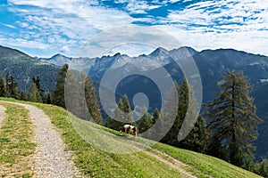 Amazing alpine spring summer landscape in Tirol, Austria