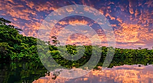 amazing amazon river with a beautiful sunset in the background in high resolution