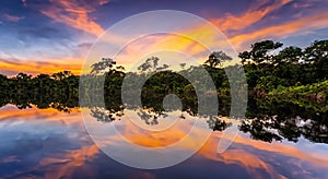 Amazing Amazon River with a beautiful sunset in the background in high resolution and sharpness. amazon river concept
