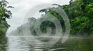 amazing amazon river with mist and forest area in a sunrise