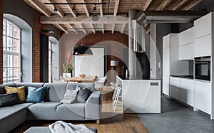 Amazing apartment in industrial style
