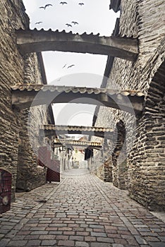 Amazing arches are buttresses of old Tallinn