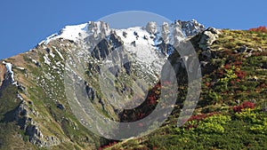 Amazing Autumn Colors of Natural Vegetation and Snowy Mountain Peaks