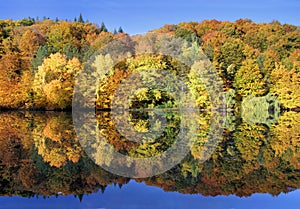 Amazing autumn forest reflected in a calm lake