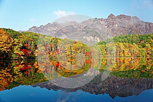 Amazing autumn lake scenery of Kagami Ike Mirror Pond in morning light with symmetric reflections of colorful fall foliage