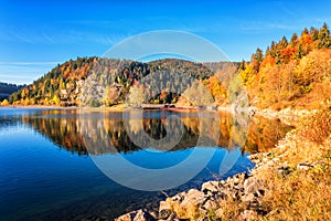 Amazing autumn landscape with alpine lake, golden colored wooded mountain and blue sky, outdoor travel background