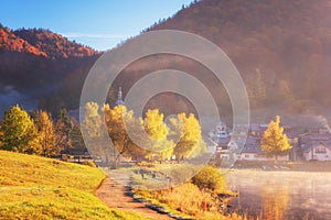 Amazing autumn landscape with alpine lake, golden colored wooded mountain and blue sky, outdoor travel background