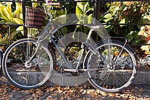 Amazing autumn landscape with bicycle near the tree at sunset. Foliage and bike in park at fall season. City bicykle. photo