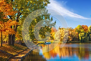 Amazing autumn landscape on clear sunny day. Colorful trees reflected in water surface of lake in park. Beautiful autumnal park