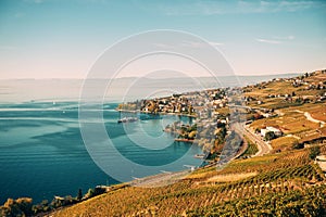 Amazing autumn landscape of Lavaux vineyards