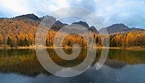 Amazing Autumn landscape on mountians lake. Dolomites Italy photo