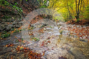 Amazing Autumn landscape. River in colorful autumn park with yellow, orange, red, green leaves. Golden colors in the mountain