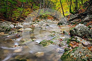 Amazing Autumn landscape. River in colorful autumn park with yellow, orange, red, green leaves. Golden colors in the mountain